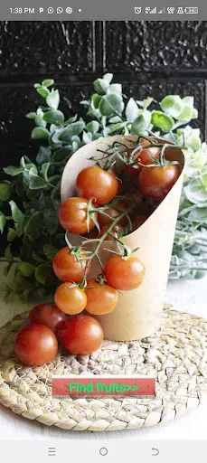 Скриншот 3 — Fruits & Their Benefits