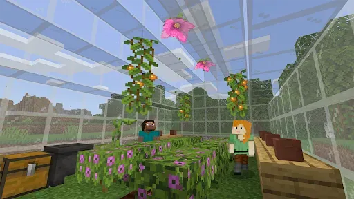Скриншот 2 — Minecraft Education Preview
