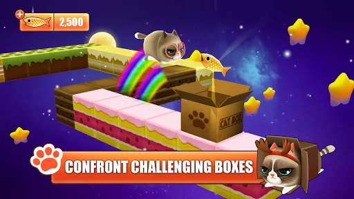 Скриншот 3 — Kitty in the Box
