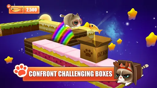 Скриншот 8 — Kitty in the Box