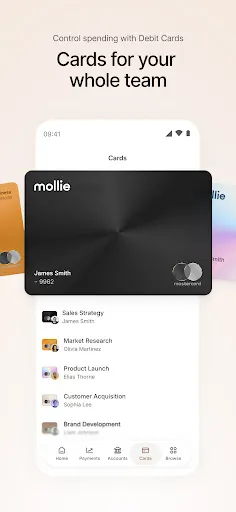 Скриншот 4 — Mollie