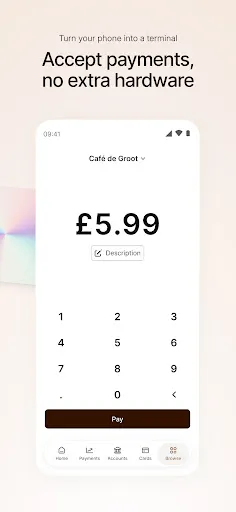 Скриншот 5 — Mollie