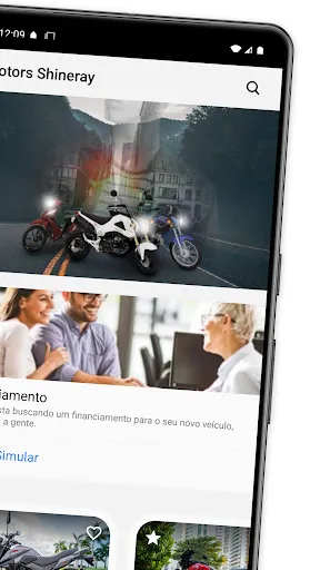 Скриншот 5 — Motors Shineray