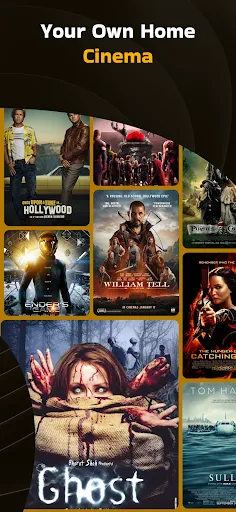 Скриншот 2 — Movie Box LLC