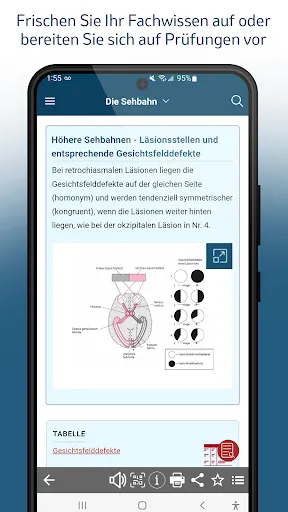 Скриншот 4 — MSD Manual für Fachkräfte