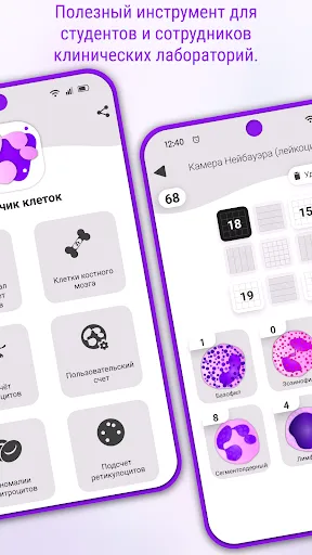 Скриншот 5 — Счетчик клеток