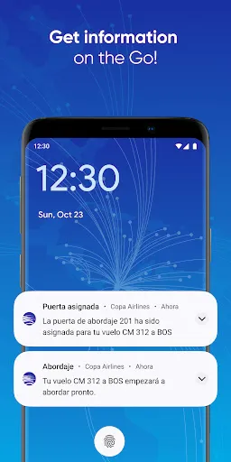 Скриншот 5 — Copa Airlines