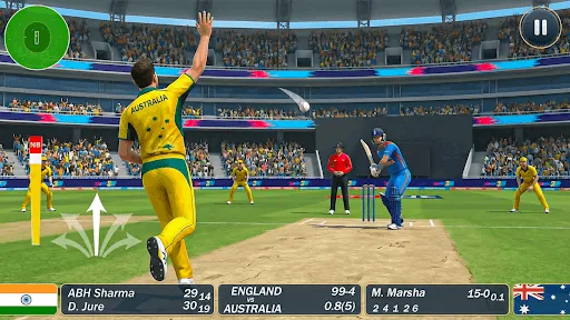 Скриншот 4 — World Tournament Cricket 2026