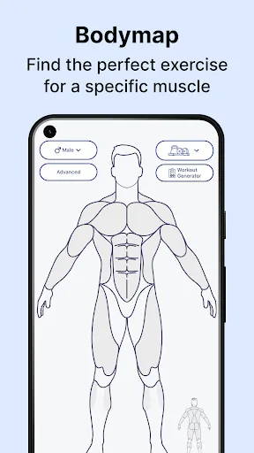 Скриншот 1 — MuscleWiki Тренировки и Фитнес