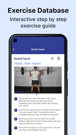 Скриншот 2 — MuscleWiki Тренировки и Фитнес