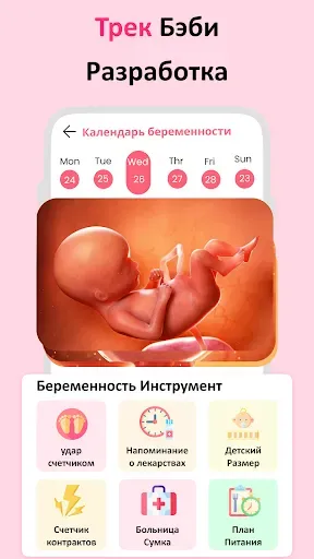 Скриншот 2 — календарь беременности неделям