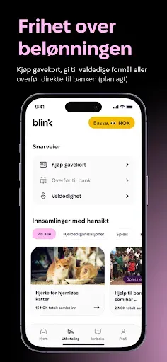 Скриншот 3 — Blink Panel