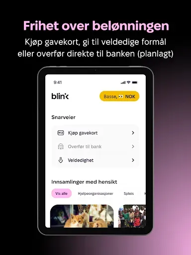 Скриншот 8 — Blink Panel