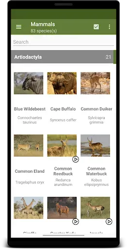 Скриншот 1 — Botswana Wildlife Guide