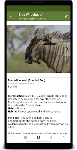 Скриншот 2 — Botswana Wildlife Guide
