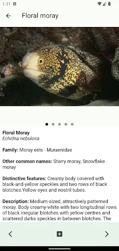 Скриншот 2 — Coastal Fishes