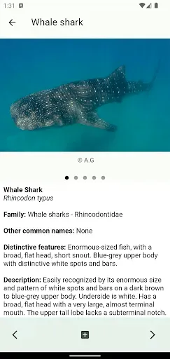 Скриншот 3 — Coastal Fishes