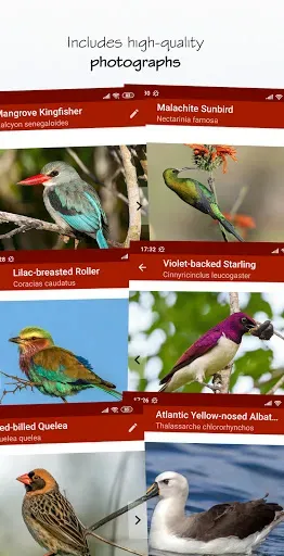 Скриншот 4 — Sasol eBirds SA LITE