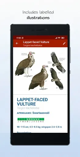Скриншот 5 — Sasol eBirds SA LITE