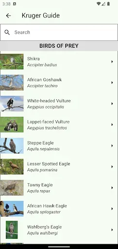 Скриншот 2 — Animals of Kruger