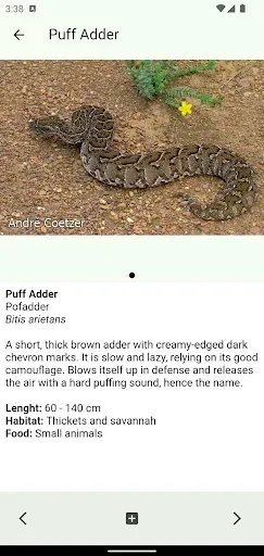 Скриншот 6 — Animals of Kruger
