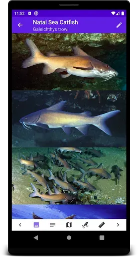 Скриншот 3 — Marine Fish Guide