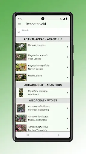 Скриншот 3 — Field Guide to Renosterveld