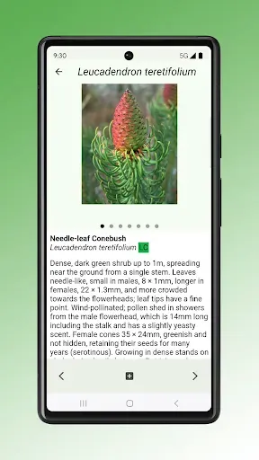 Скриншот 4 — Field Guide to Renosterveld