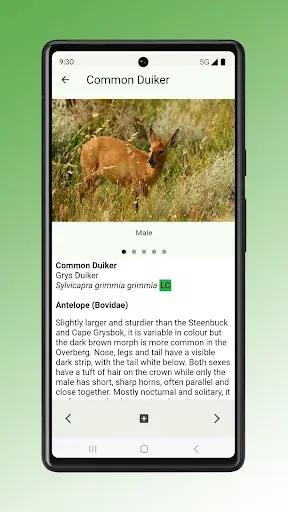 Скриншот 5 — Field Guide to Renosterveld