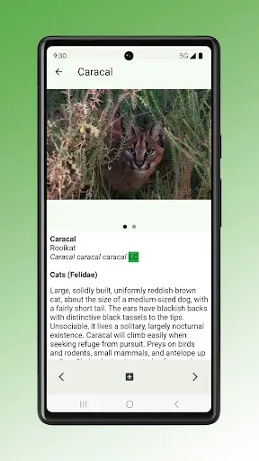 Скриншот 6 — Field Guide to Renosterveld