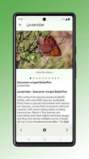 Скриншот 7 — Field Guide to Renosterveld