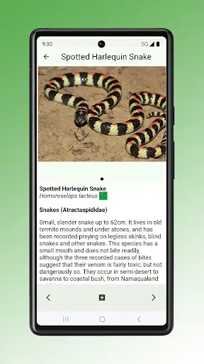 Скриншот 8 — Field Guide to Renosterveld