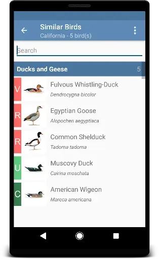 Скриншот 4 — Sibley Birds 2nd Edition