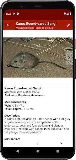 Скриншот 3 — Stuarts' Great Karoo