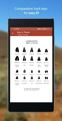 Скриншот 3 — Stuarts' Tracks & Scats SA
