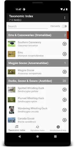 Скриншот 2 — Stewart Australian Bird Calls