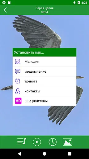 Скриншот 4 — Птицы звуки и мелодии