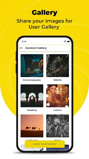 Скриншот 4 — MyNikon: Cameras & Workshops
