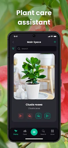 Скриншот 2 — PlantIn Plant Identifier, Care