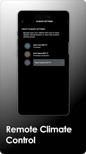 Скриншот 3 — Kia Access