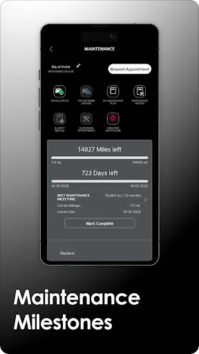 Скриншот 5 — Kia Access