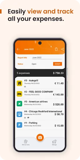 Скриншот 3 — N2F - Expense Reports