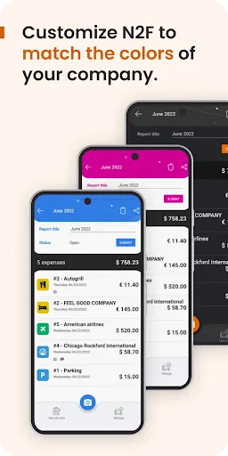 Скриншот 8 — N2F - Expense Reports