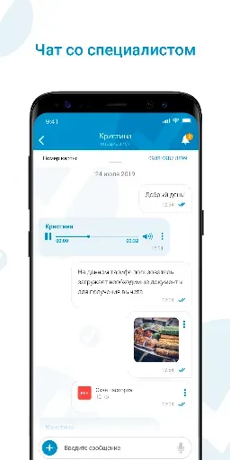 Скриншот 3 — Налогия