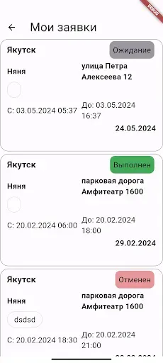 Скриншот 3 — Няня на выезд