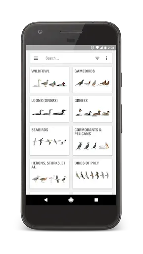 Скриншот 1 — Collins Bird Guide