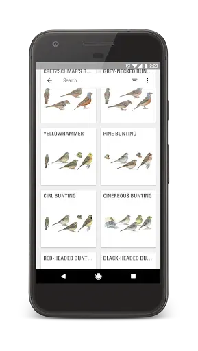 Скриншот 2 — Collins Bird Guide