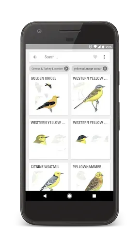 Скриншот 4 — Collins Bird Guide