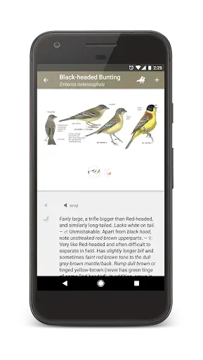 Скриншот 5 — Collins Bird Guide