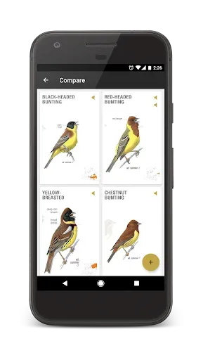 Скриншот 6 — Collins Bird Guide